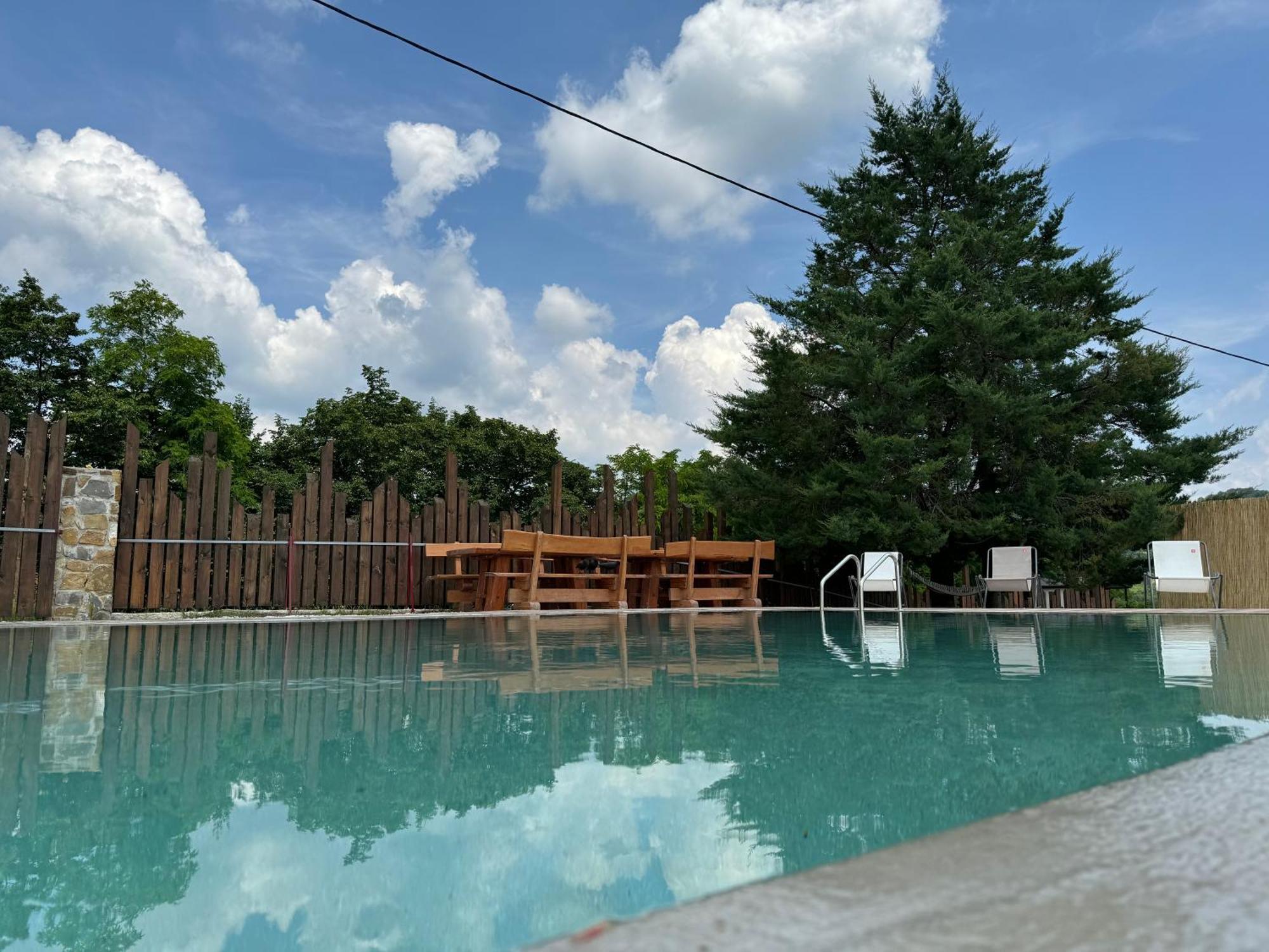 La Cubanita Bed & Breakfast Kojsko Bagian luar foto