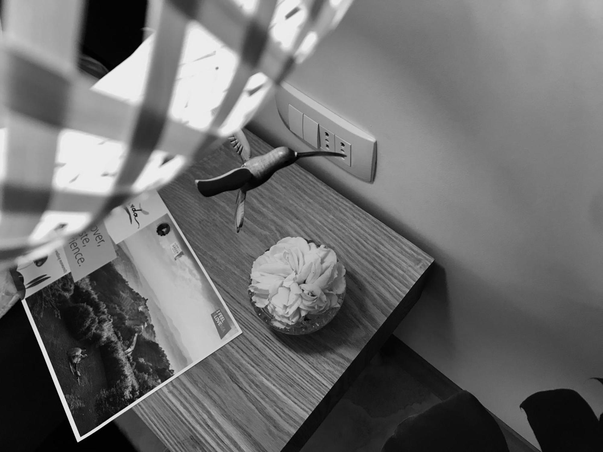 La Cubanita Bed & Breakfast Kojsko Bagian luar foto